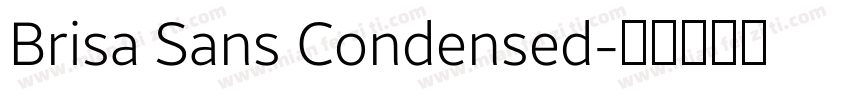Brisa Sans Condensed字体转换